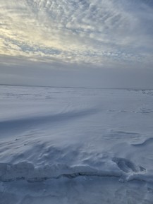 Фото отзыва 1: экскурсия "Из Мурманска в Кандалакшу — на Белое море!"