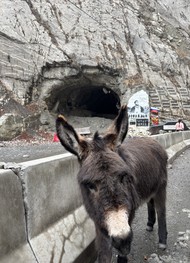 Фото отзыва 5: экскурсия "Северная Осетия в мини-группе: путешествие из Кисловодска"