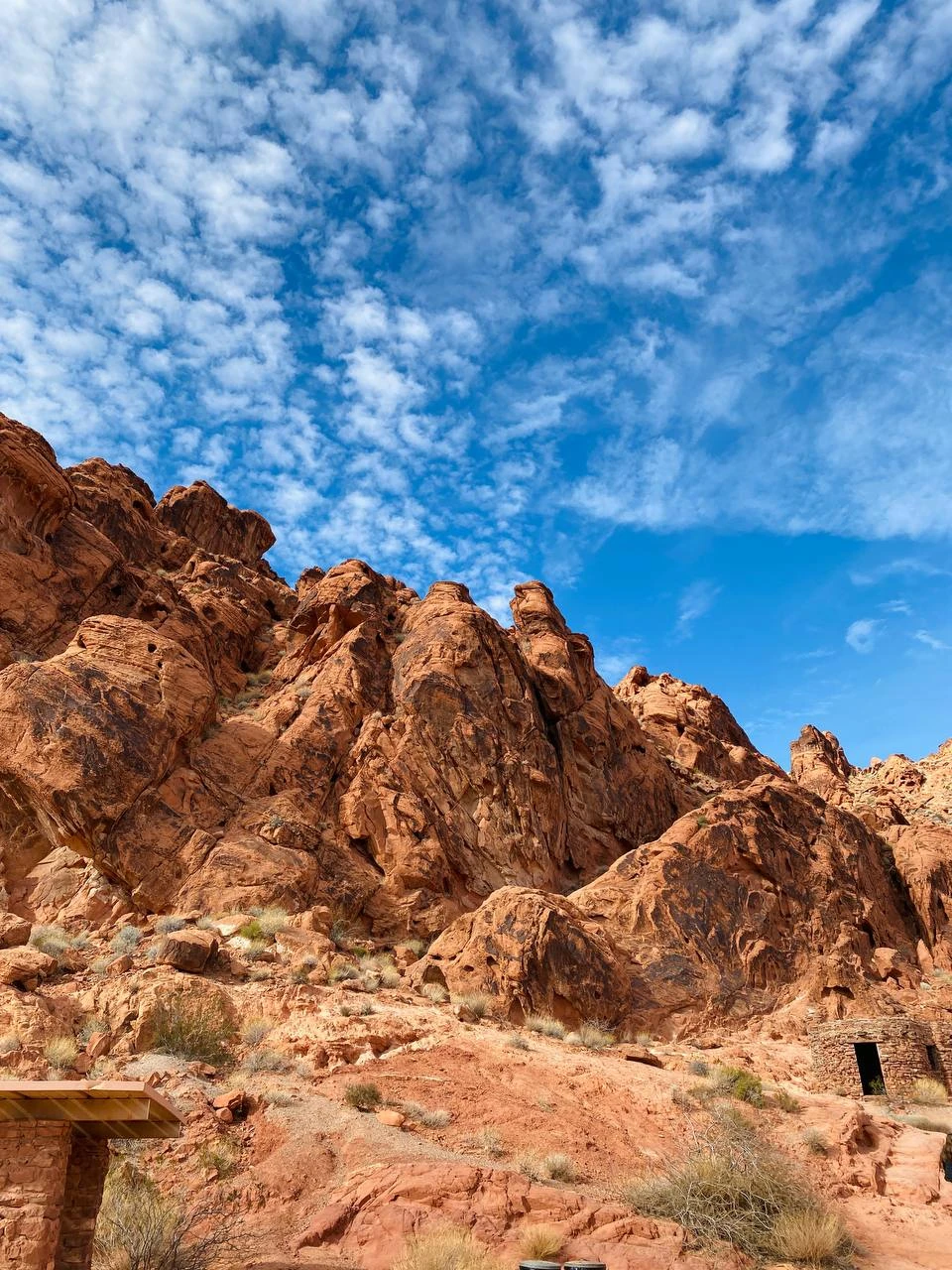 Я знаю, что в Лас Вегас лучше прилетать ночью. Тогда этот, в чем-то «пластмассово-игрушечный» город, заставляет