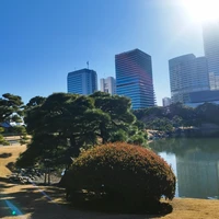 Фото отзыва 2: экскурсия "Токио между эпохами"