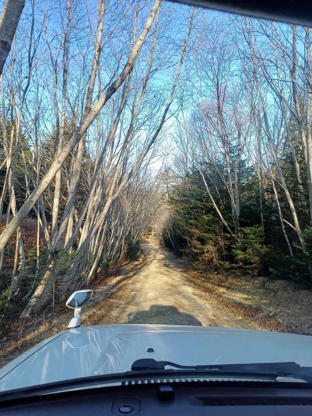 Потрясающая поездка! Удивительной красоты природа, которая прекрасна в любое время года (и не только мыс, но