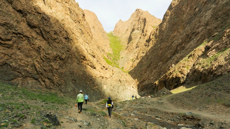 Индивидуальный автотур по пустыне Гоби: барханы, каньоны и Пылающие скалы