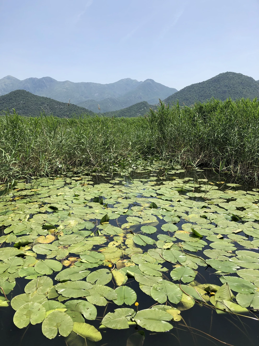 Благодарим Ольгу за атмосферную экскурсию, дружелюбное и внимательное отношение, очень приятное общение! У нас был достаточно