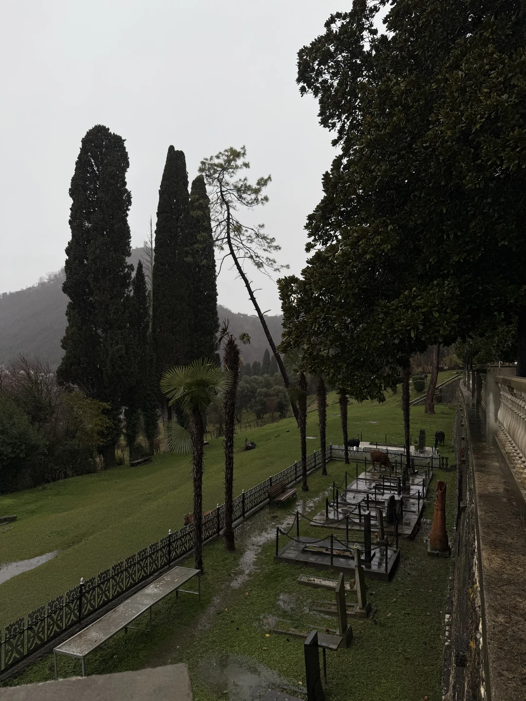 Это просто вау! Ездили в начале января) было холодновато и дождь! но это никак не испортило