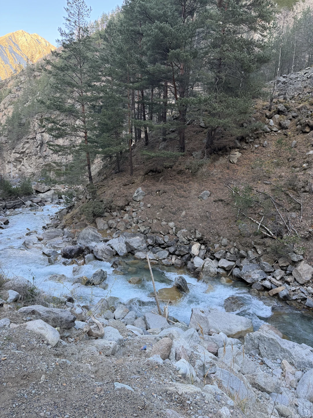 Мы в восторге. Артемий очень классный, все четко, безопасно, понятно. Располагает к себе туристов: много знает