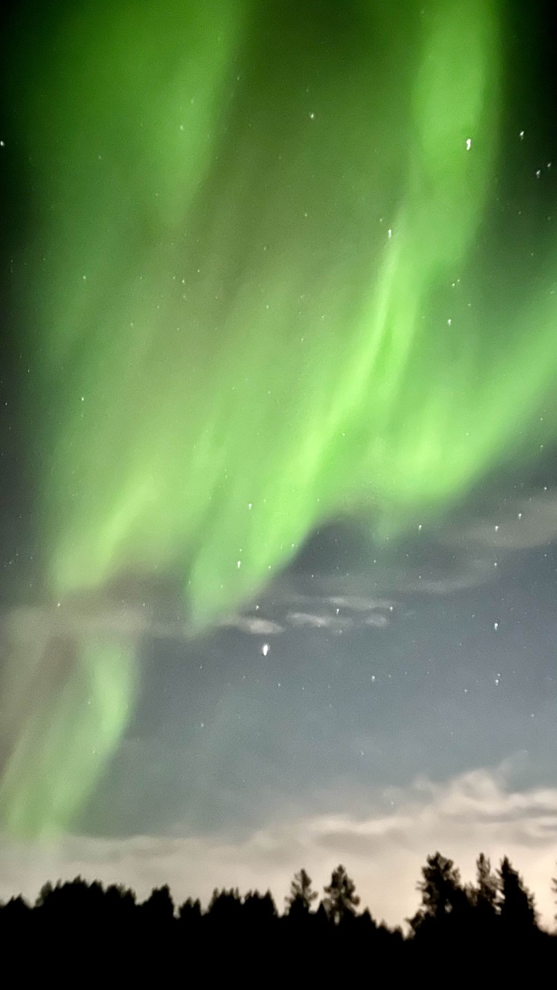 Были на экскурсии с гидом Виталием. Настоящий охотник) С чувством юмора, увлеченный своим делом, 100% работает