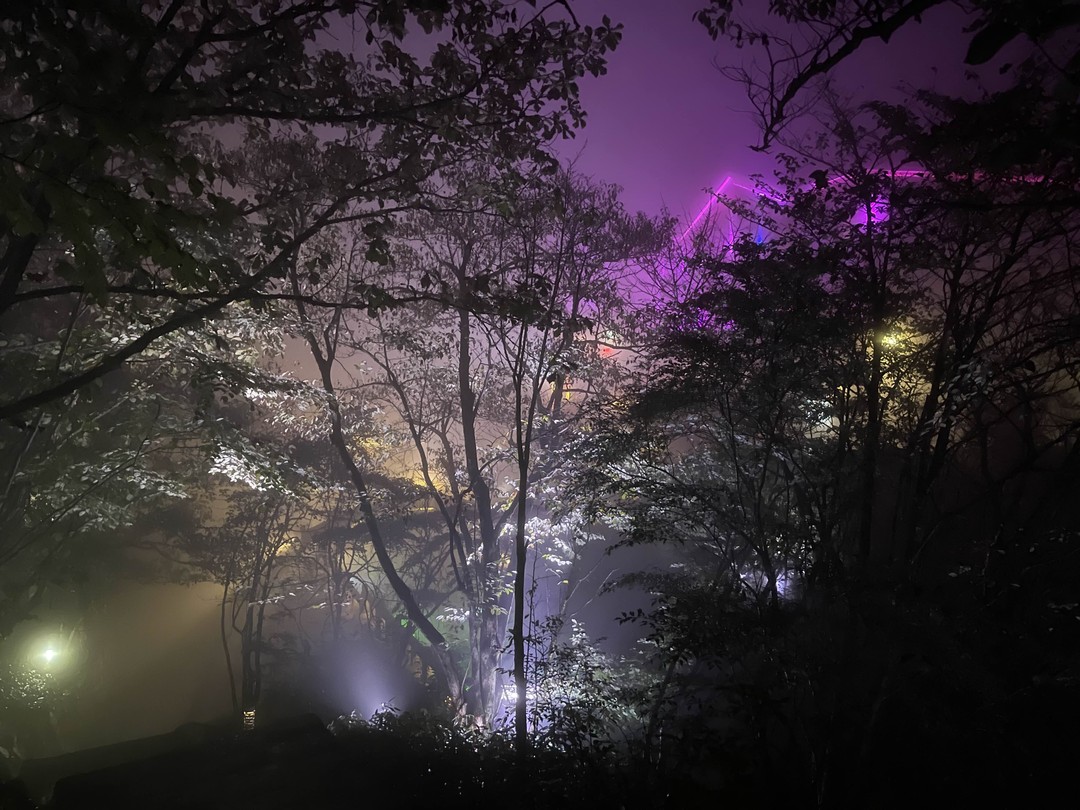 Очень понравилось! Были первый раз в Китае.