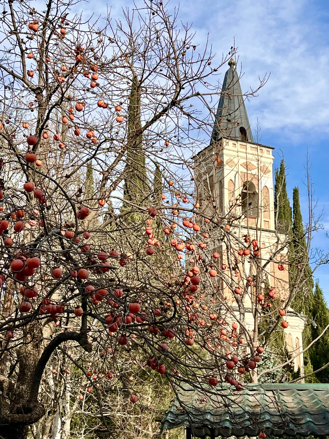 Групповая поездка в Кахетию: Бодбе, Сигнахи и Цинандали (Наталья)