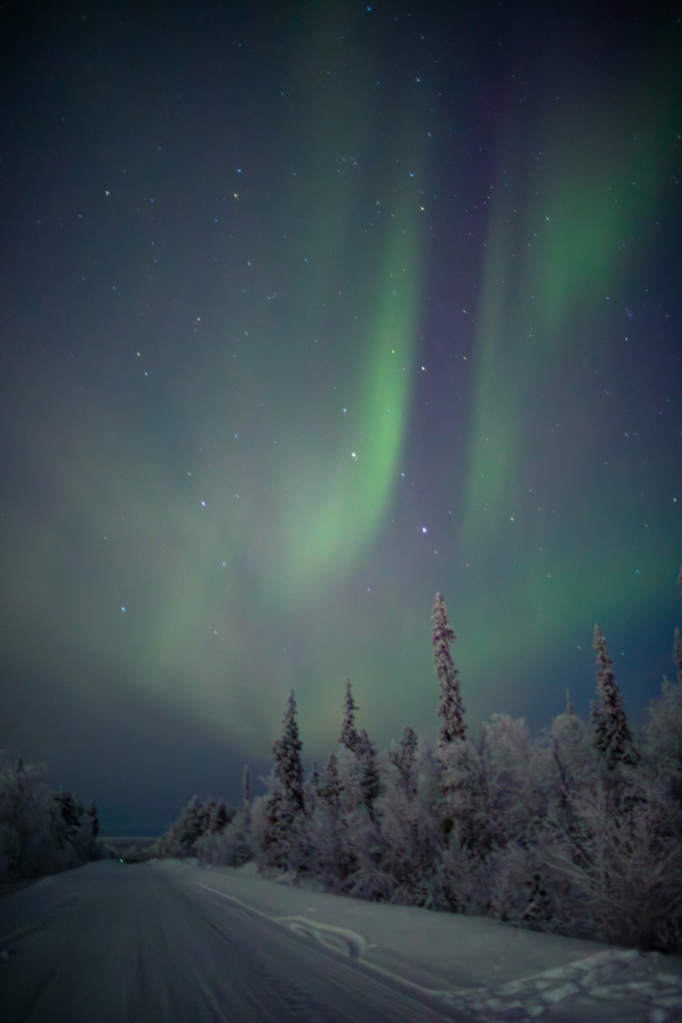 Северное сияние в Мурманске - увидеть хотя бы раз (Наталья)