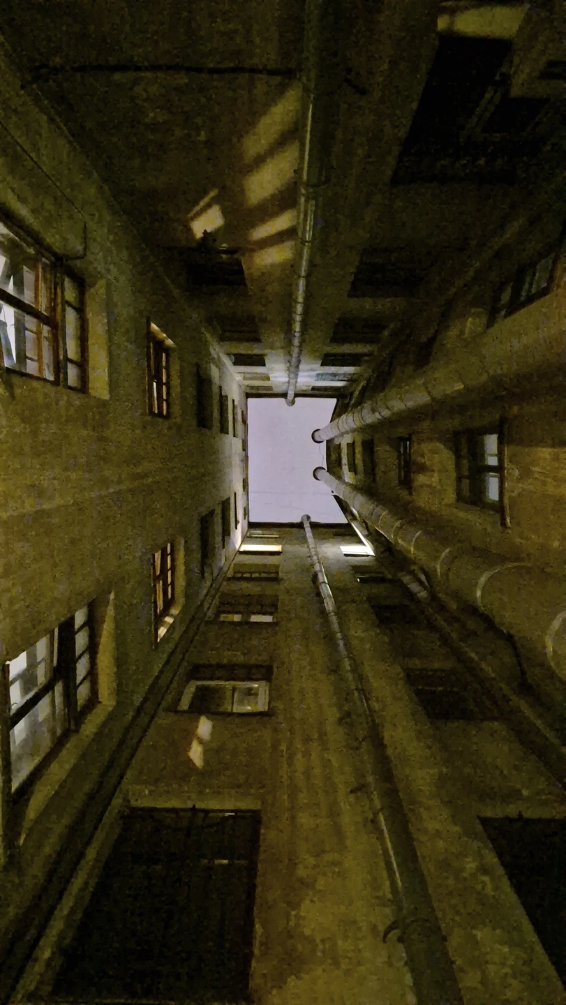 Секреты и лабиринты Петроградской стороны: дворы, парадные, легенды (Елена)