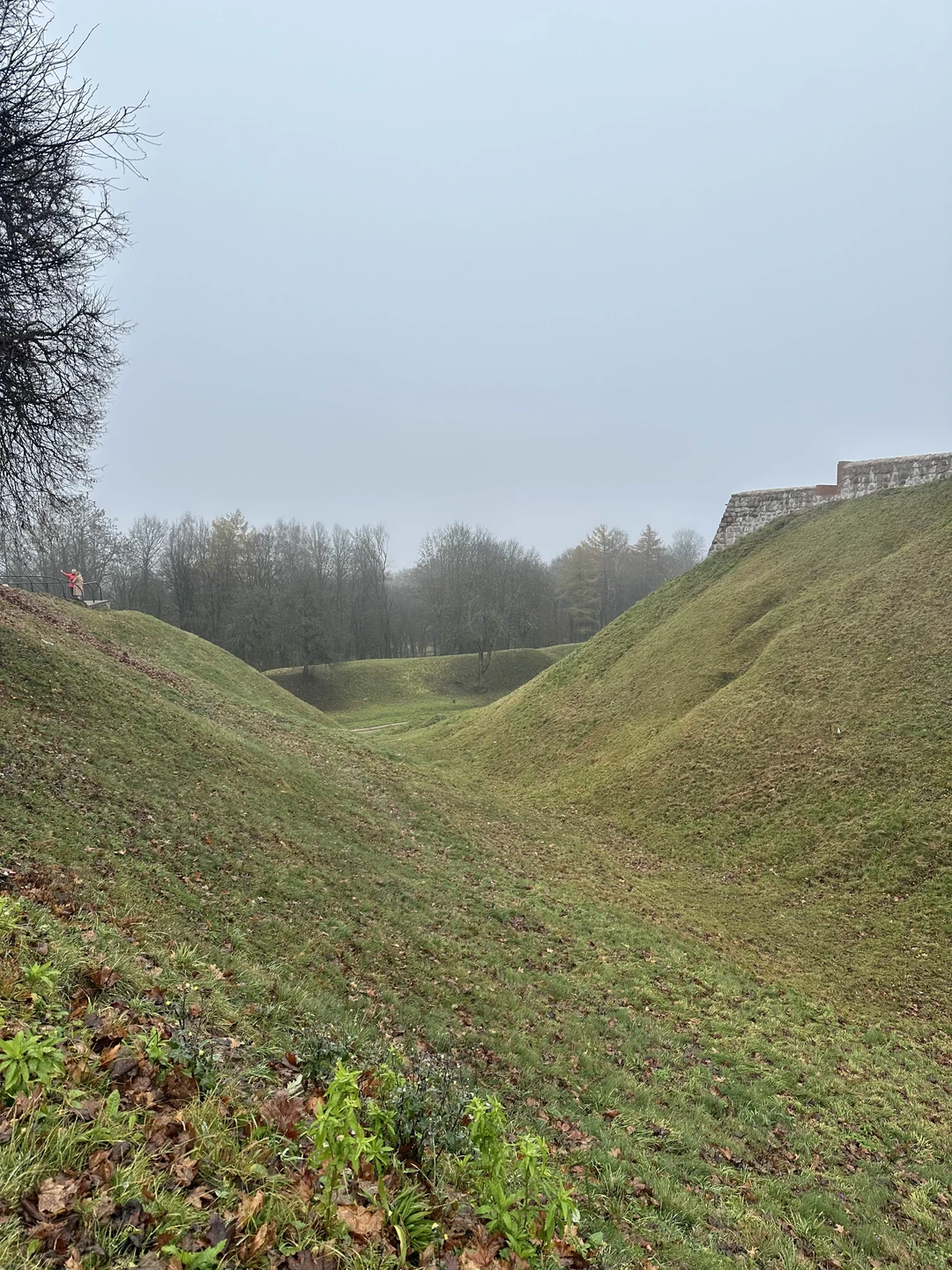 Спасибо Галине Тадеушевичне, очень подробный и интересный рассказ о истории Новогрудка, мы были семьей, даже несмотря