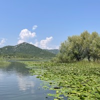 Фото отзыва 1: экскурсия "Липская пещера и прогулка по Риеке Црноевича до Скадарского озера"