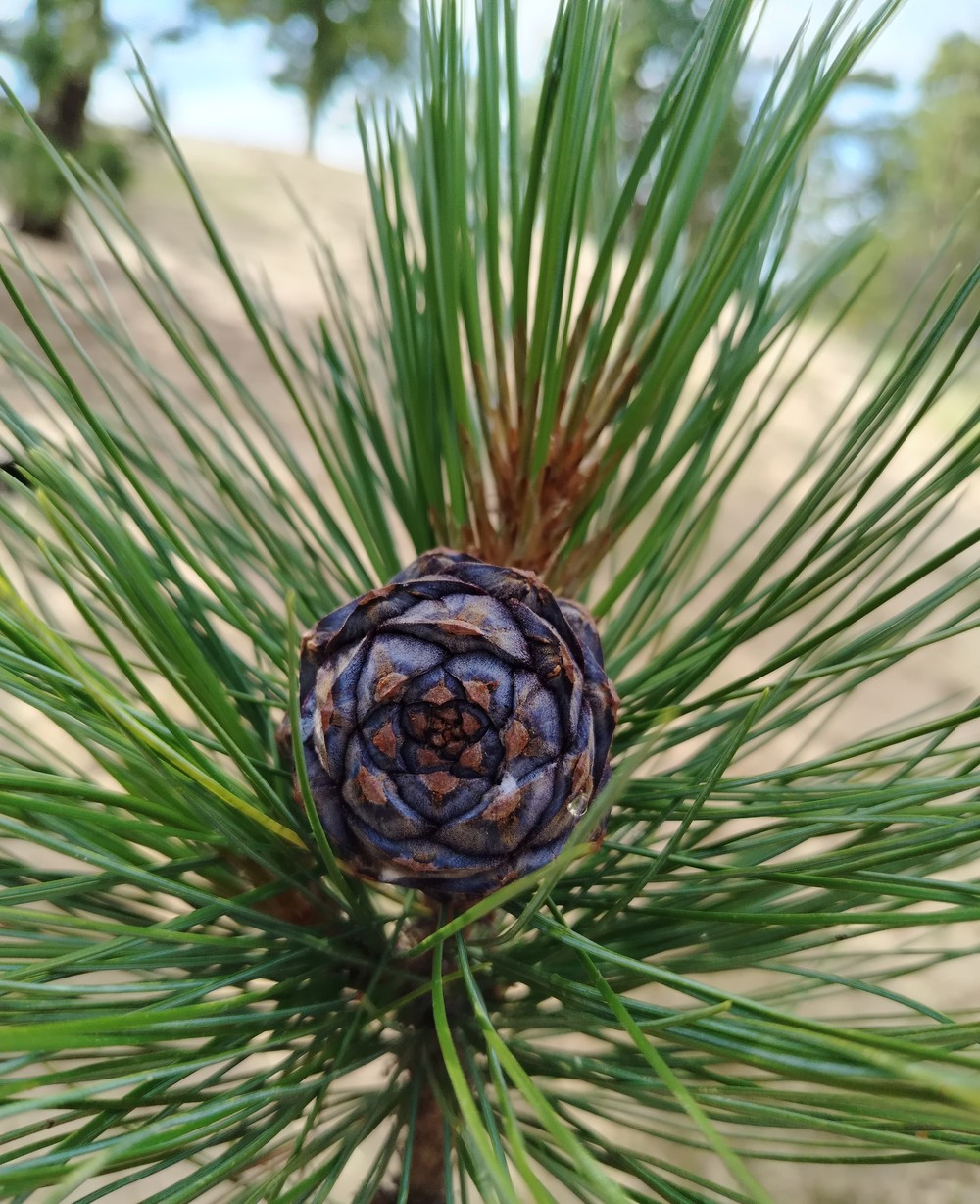 Живописные уголки Байкала — из Улан-Удэ (9/15)