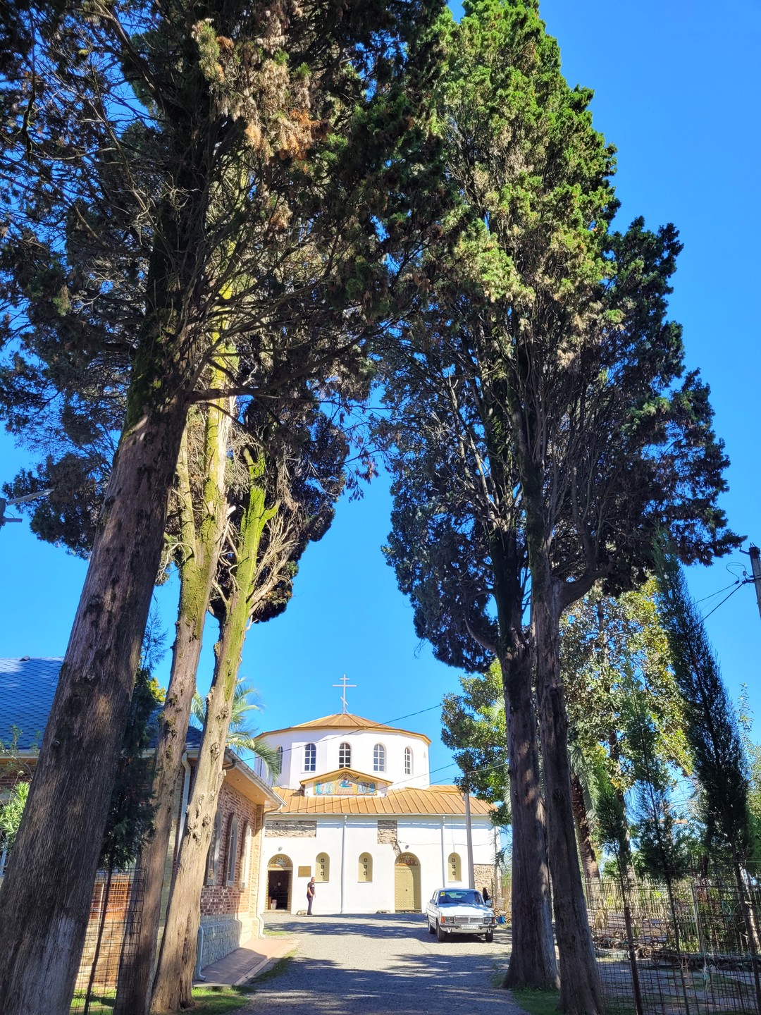 Замечательно провели день в Абхазии! были и на термах и в Сухум и в ущелье и