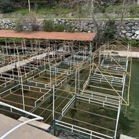 Фото отзыва 2: экскурсия "Каньон Сападере и водные бои на джипах — из Аланьи"