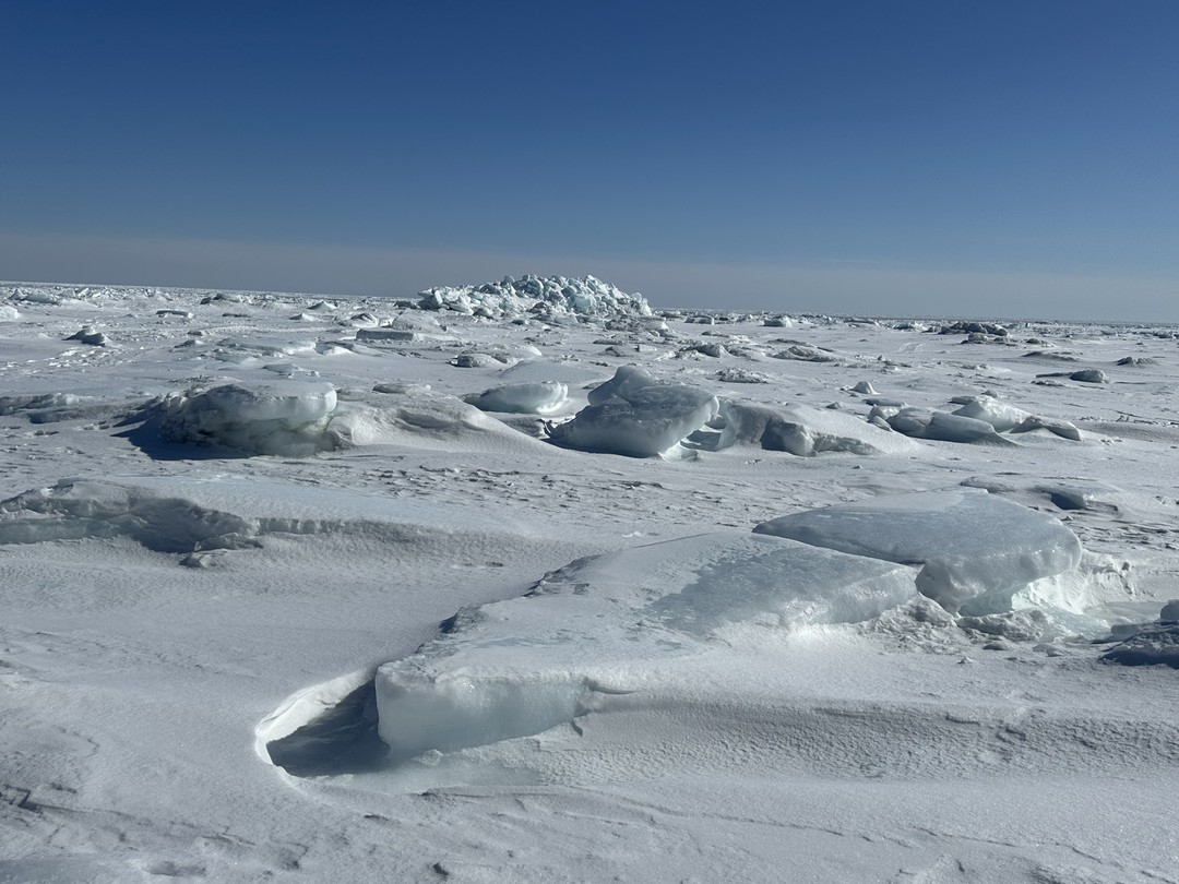 Все очень понравилось. Впечатлений море. Удалось еще и порыбачить. Поймали навагу. На рынке купили краба. Красивейшие