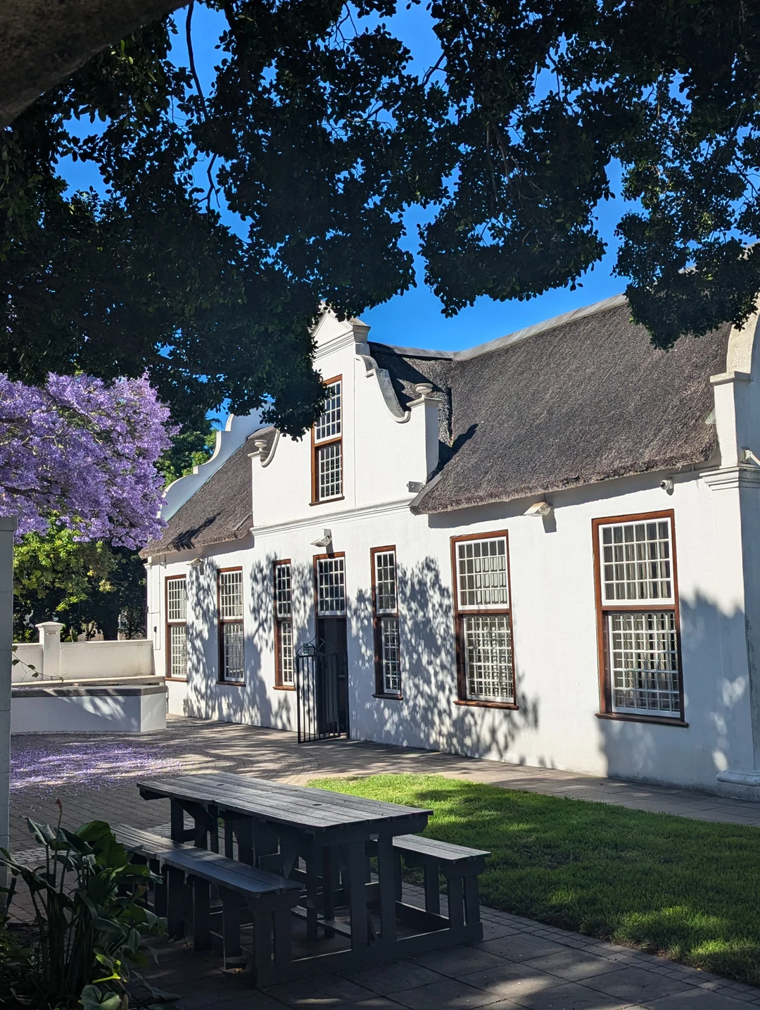 Спасибо, Александру, за чудесные дни проведенные в ЮАР. За 9 дней мы смогли посмотреть великолепный Кейптаун