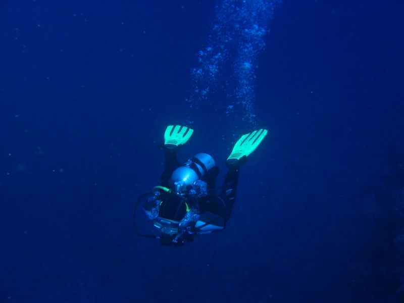 Дайвинг в Акабском заливе недалеко от Аммана