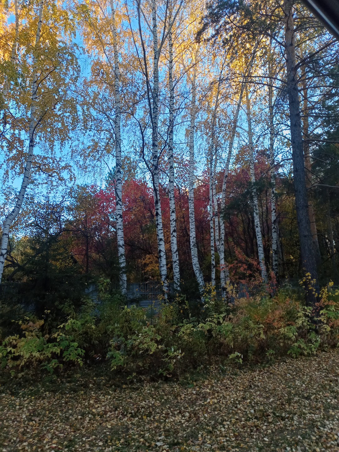 Шарташские были (Руслан)