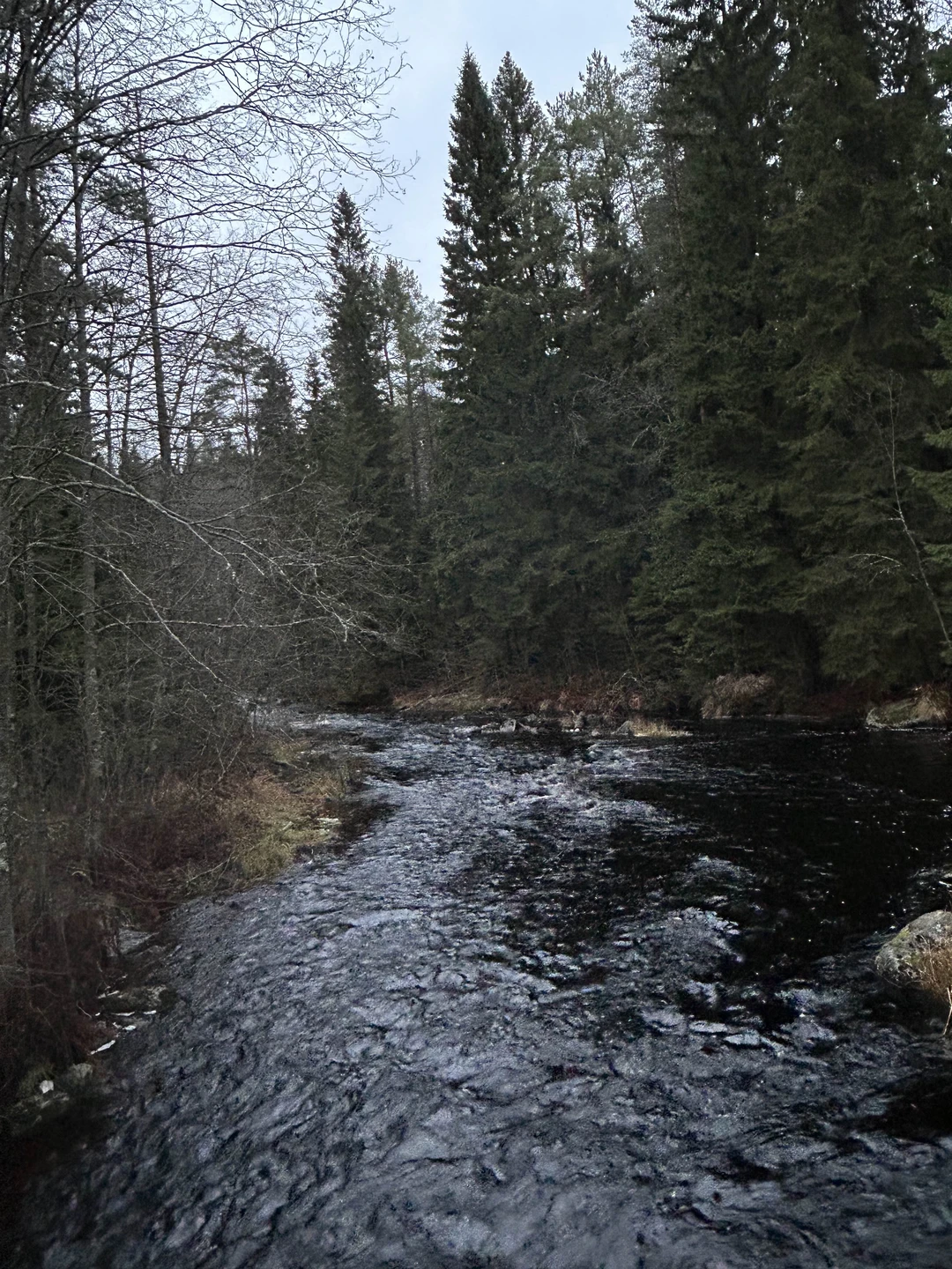 Очень все понравилось. Очень удобный формат. Все продумано, нам очень понравилась красота здешней природы, нам показали