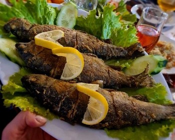 Карадахская теснина, Кахиб и Гоор, «Язык Тролля»