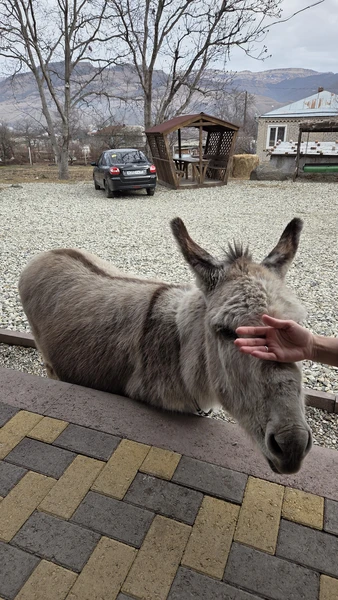 Отличное путешествие. Олег аккуратный и внимательный водитель, во время прездки чувствовали себя комфортно. Рассказы о местах,