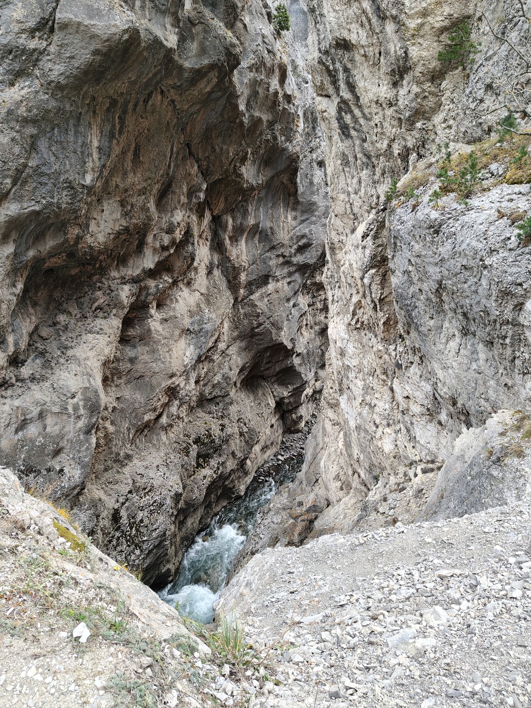 Северная Осетия по максимуму (Дмитрий)