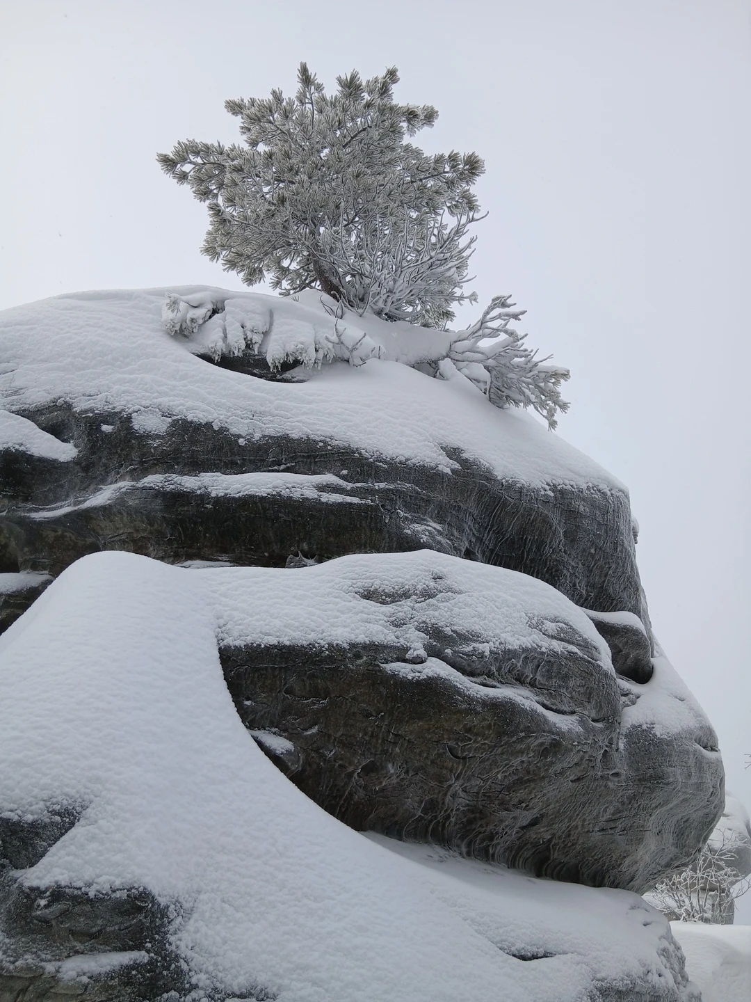 Была на экскурсии 29 ноября. Природа сделала подарок в виде снежного покрова за городом и от