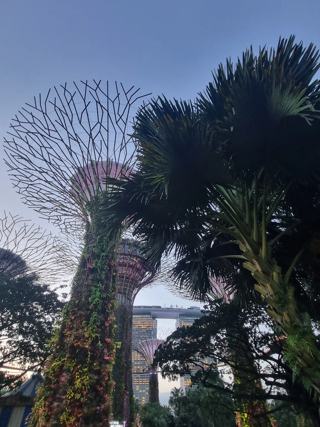 Большое спасибо гиду Марине за невероятно интересную и познавательную экскурсию!