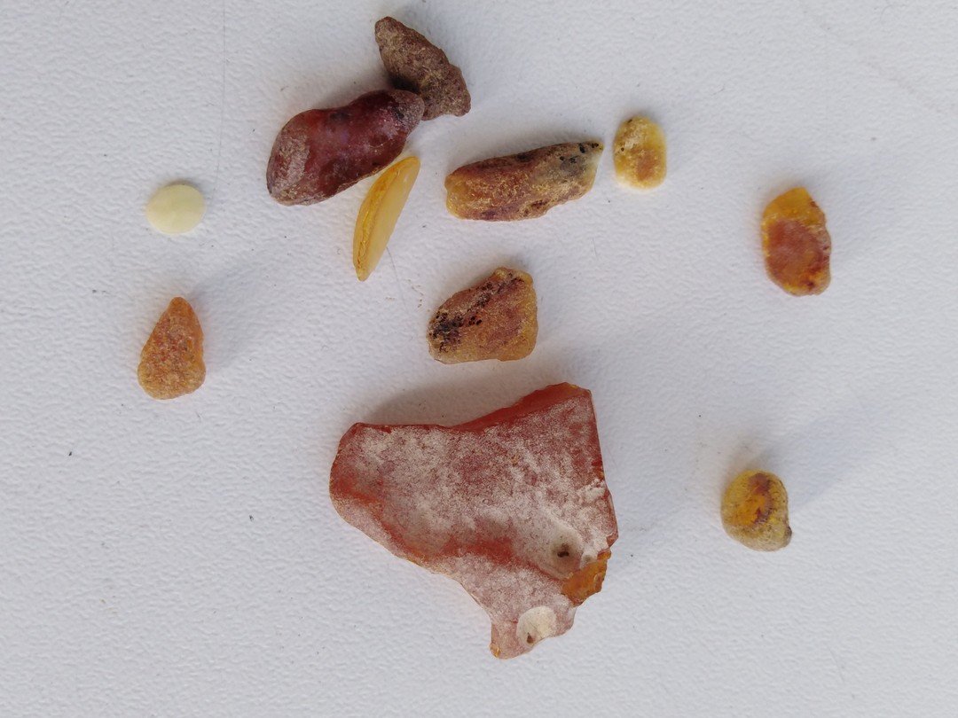 Путешествие по янтарному побережью из Калининграда (Елена)