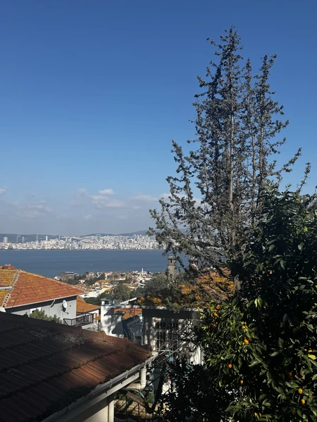 Отличный формат экскурсии для знакомства с островом Бююкада. На нем нельзя передвигаться на обычных автомобилях. Только