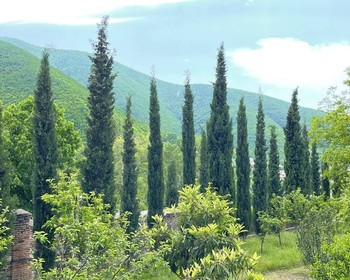 Шеки и древнее село Киш
