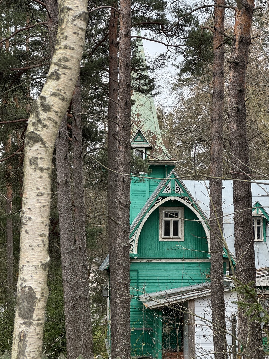 Большая прогулка по Комарово (Паша)