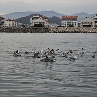 Фото отзыва 4: экскурсия ""