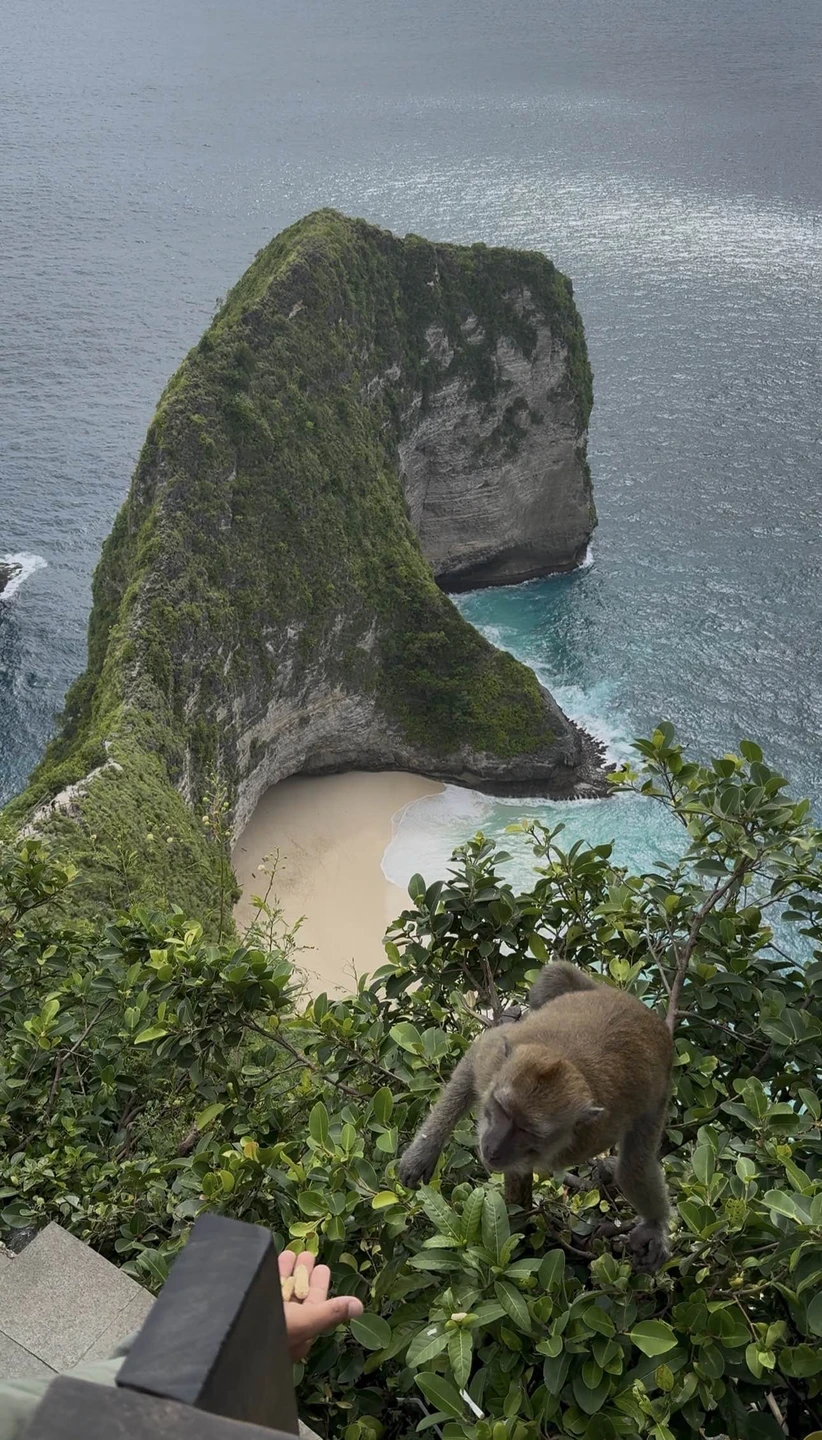 Виды очень красивые. Поболтали с гидом, структурного рассказа не было, но развлекательный диалог был. На машине