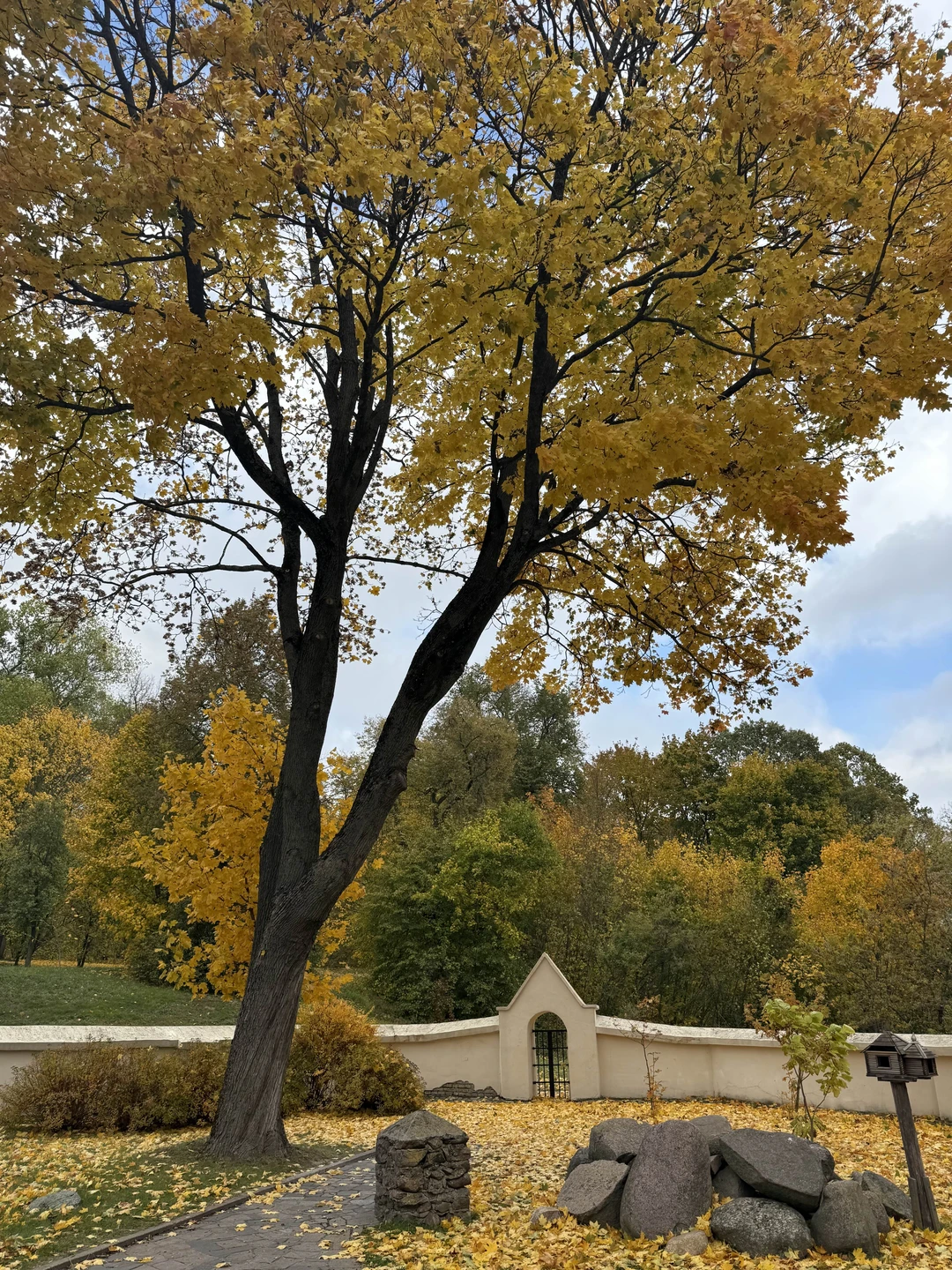 Гродненские must-see, их легенды и история - на автопешеходной экскурсии (Алина)