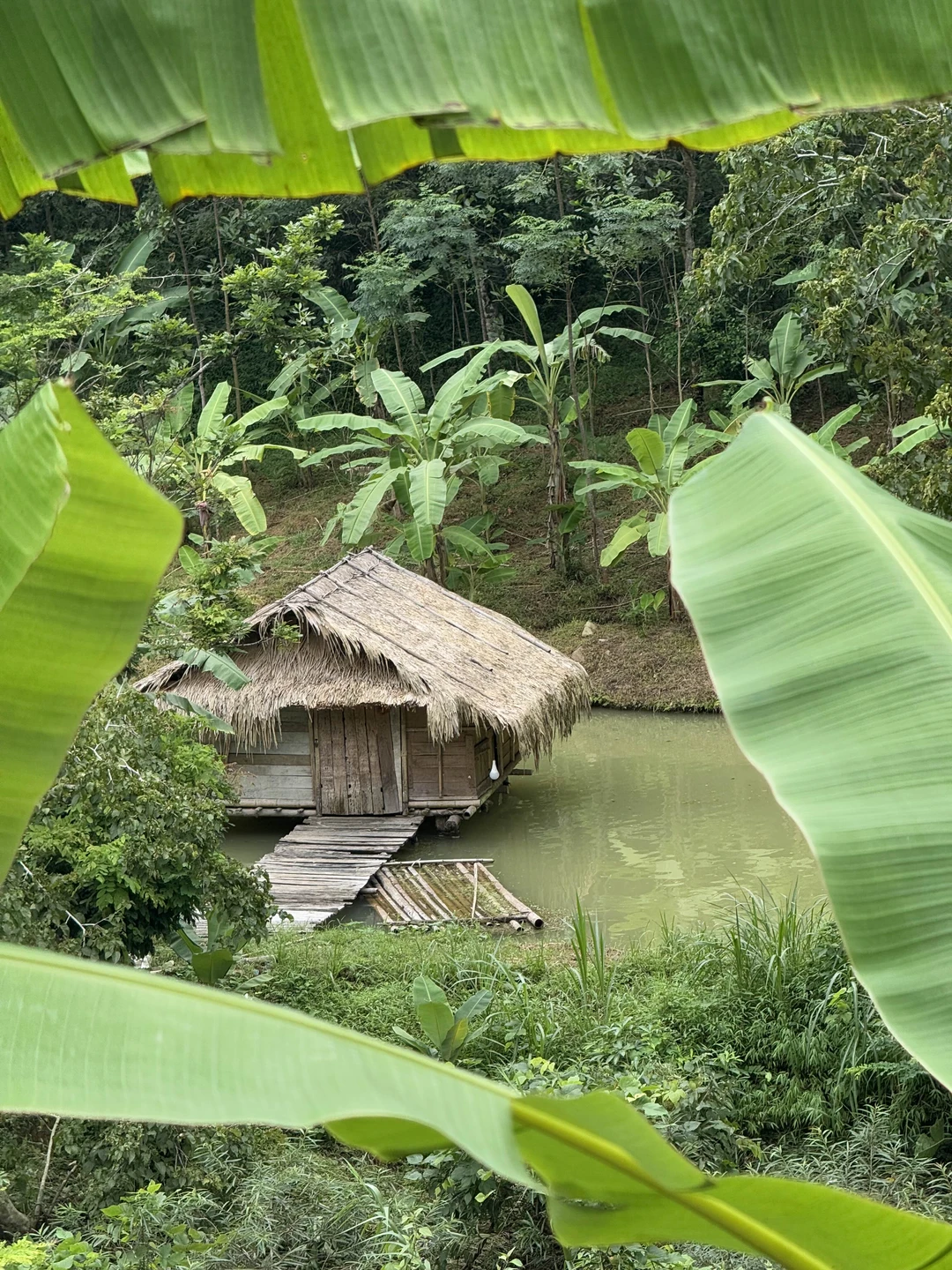 Мы добавили в тур еще один день и посмотрели за 2,5 дня Нинь Бинь, Пулун и Май Чау