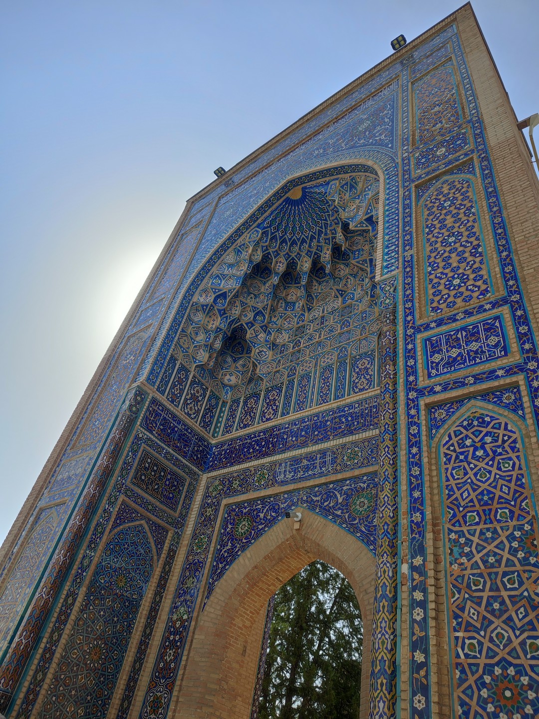 Все очень понравилось, ёмко, интересно!