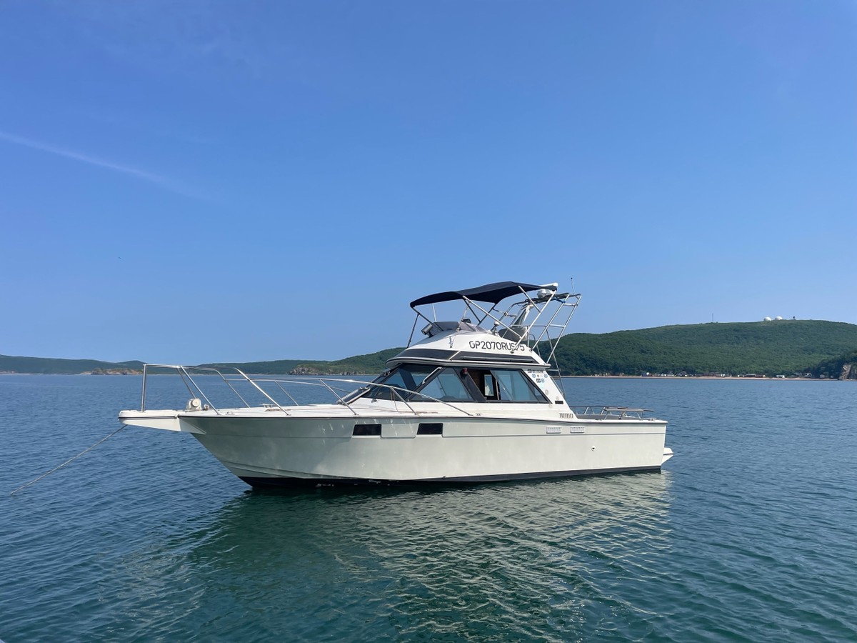 Огни Владивостока: вечерняя прогулка на катере (6/9)