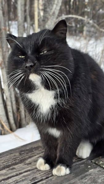 Анна, спасибо большое за отличную экскурсию. Благодаря Вам Байкал с нами случился (поехали сразу в день