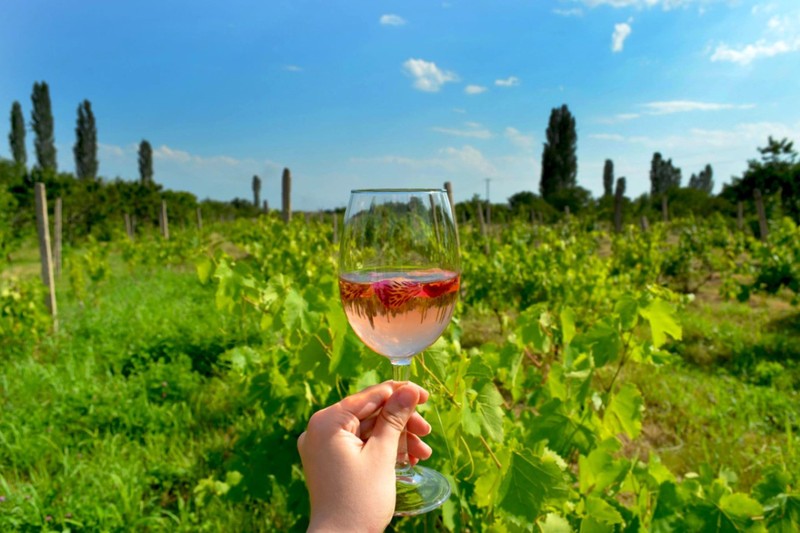 Духовное наследие и вино воскеваз: к монастырям Ованаванк и Тегер из Еревана