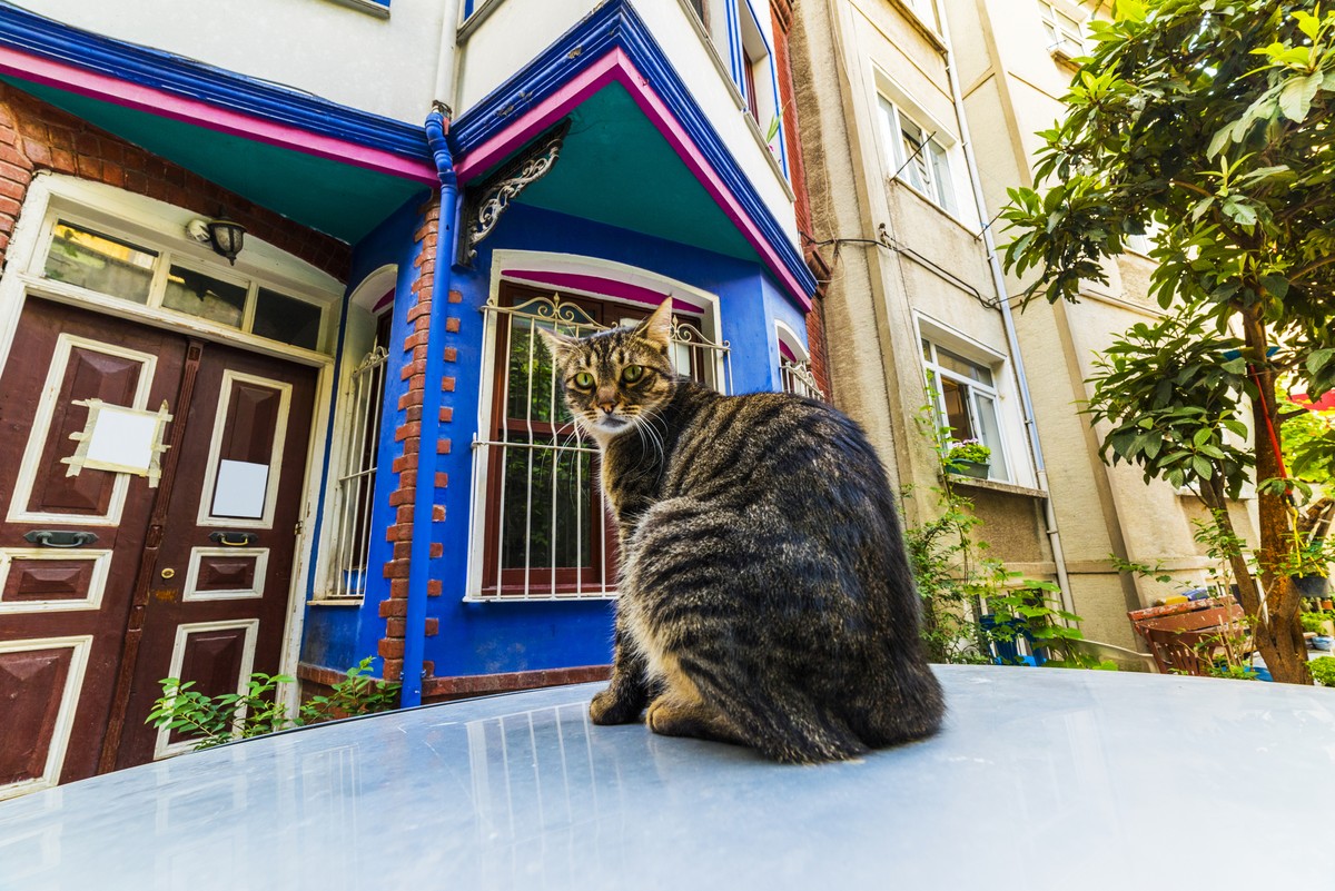 Ускюдар и Кузгунджук: квест-экскурсия по двум мирам Стамбула (3/6)