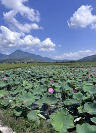 Фото отзыва 2: экскурсия "Дикий водопад Та Гу: мотопутешествие из Нячанга"
