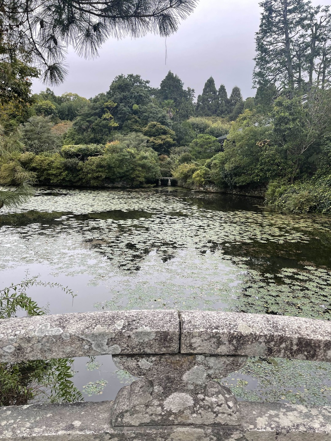 Культовые памятники Киото (Юлия)