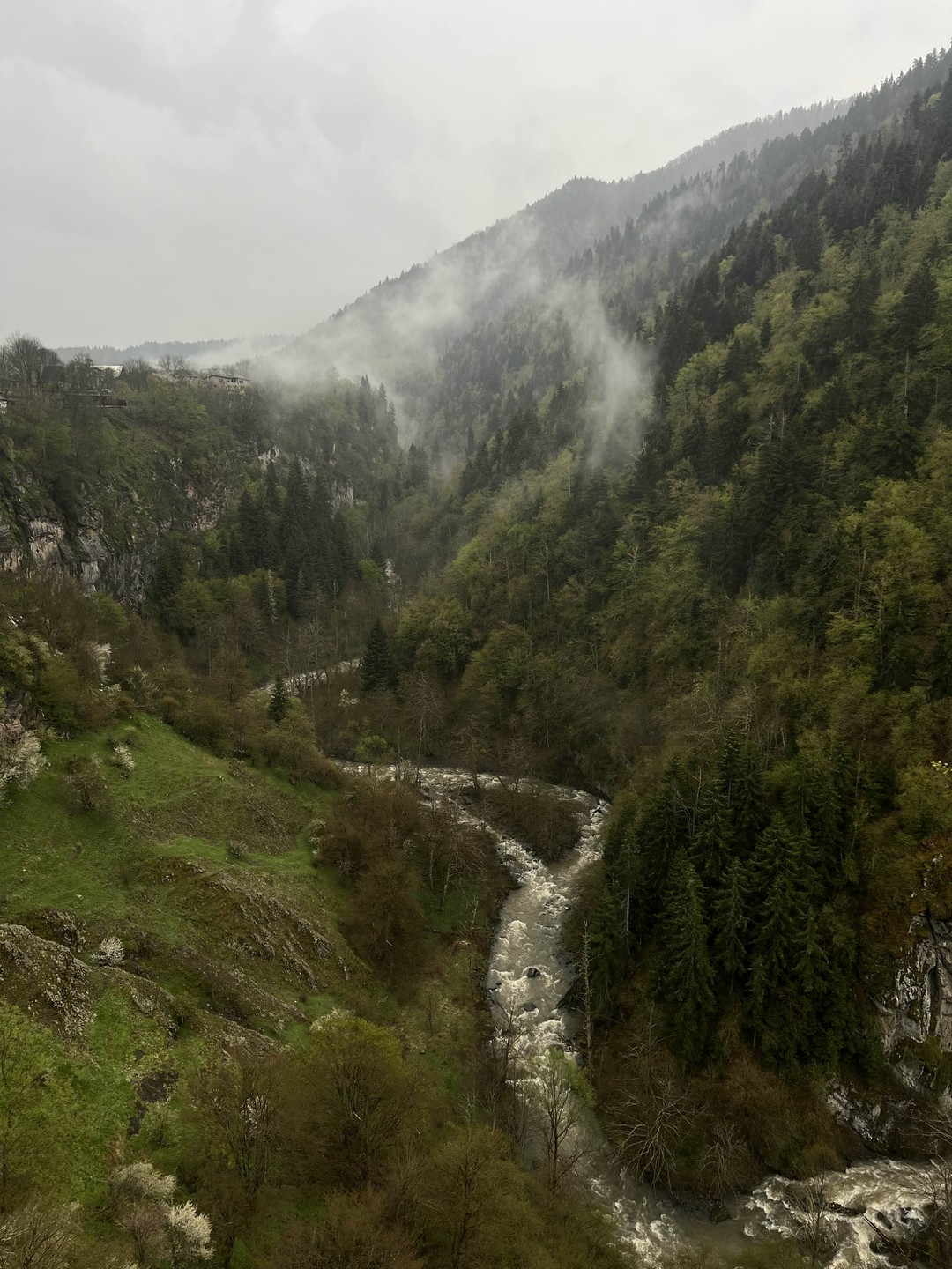 Благодарю Capital Georgia Travel за организацию моего первого путешествия в Грузию. Начиная с первого дня всё