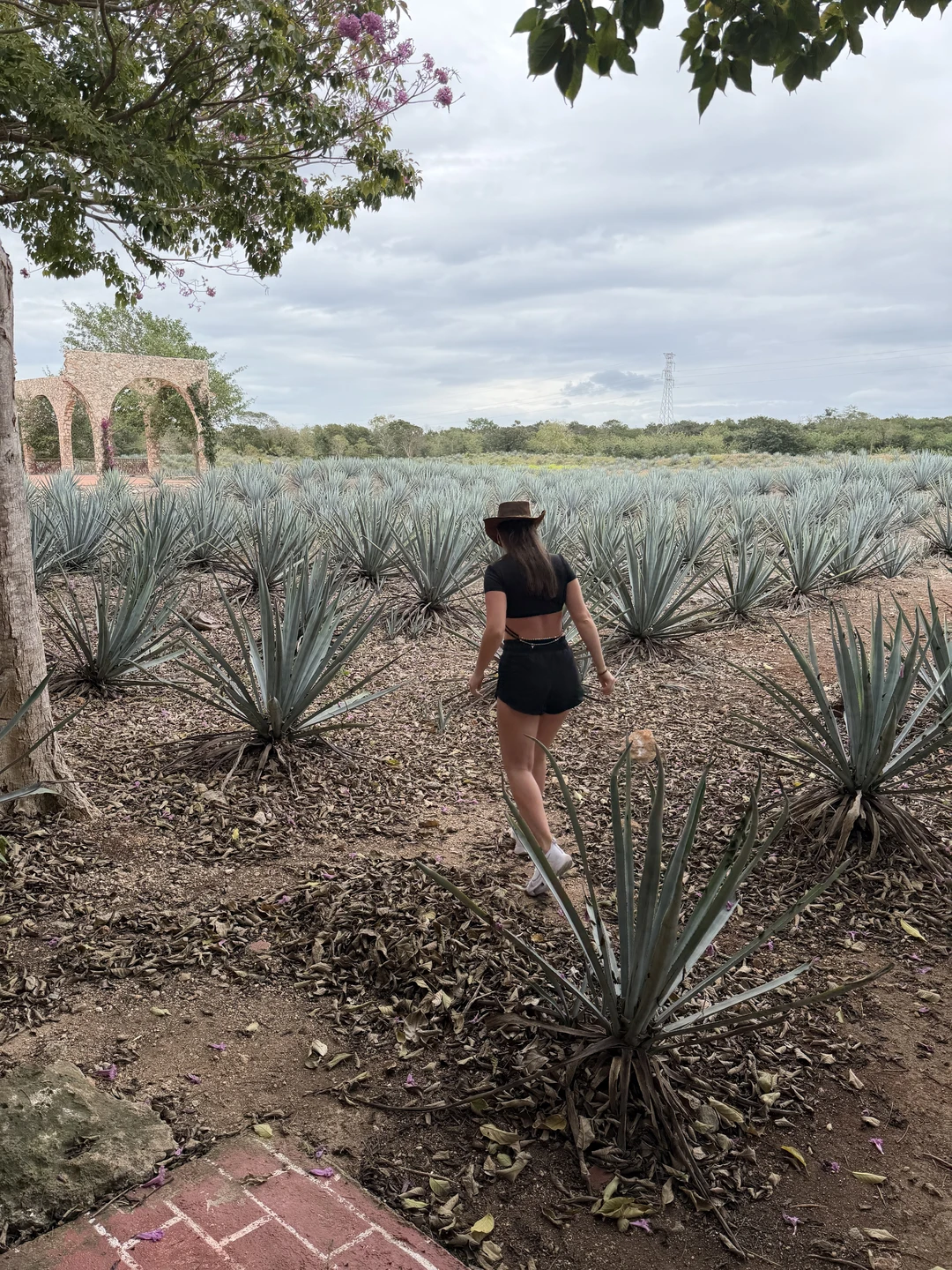 Обычно, мы с женой организовывали экскурсионный досуг самостоятельно. Но в Мексике решили не рисковать и доверить это профессионалу