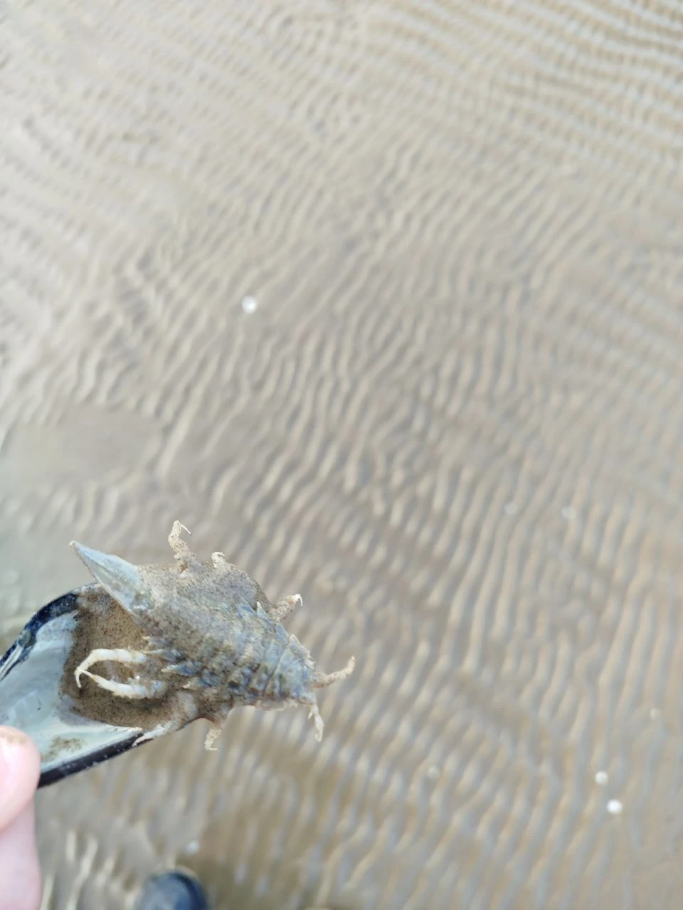 Спасибо Сергею, в компании которого мы провели несколько незабываемых дней в Архангельске и его окрестностях, увидели