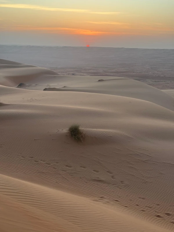 Изумрудный оазис и золотые дюны: Вади Бани Халид и пустыня Вахиба