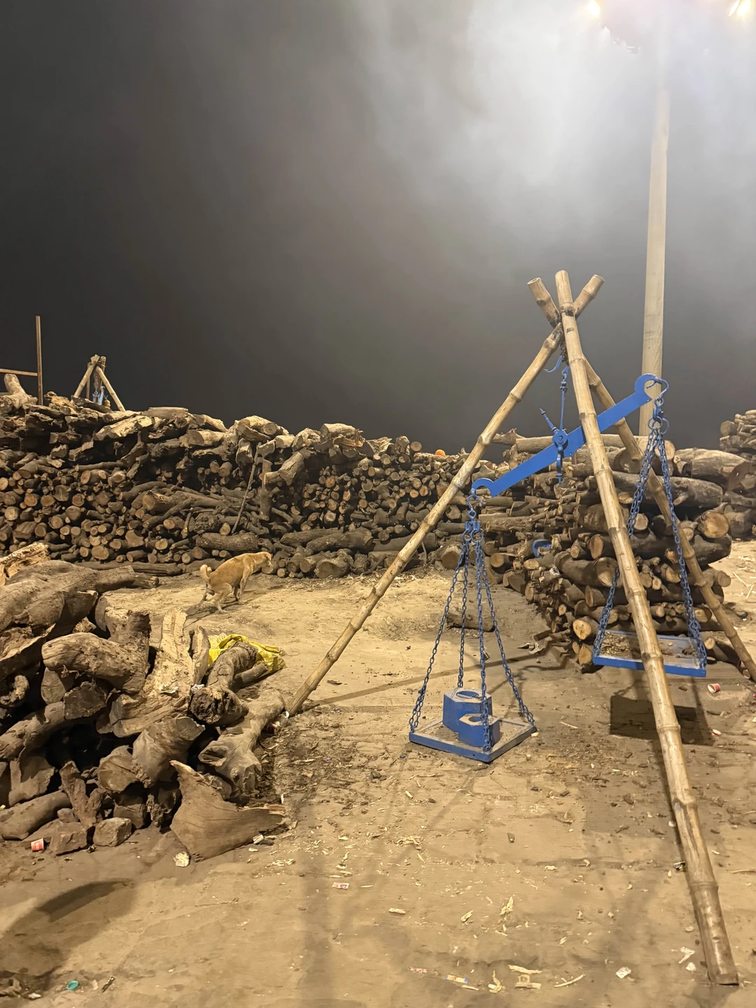 Артемий великолепный гид и очень хороший человек. Я узнала много нового, Артемий объяснял спокойно и терпеливо