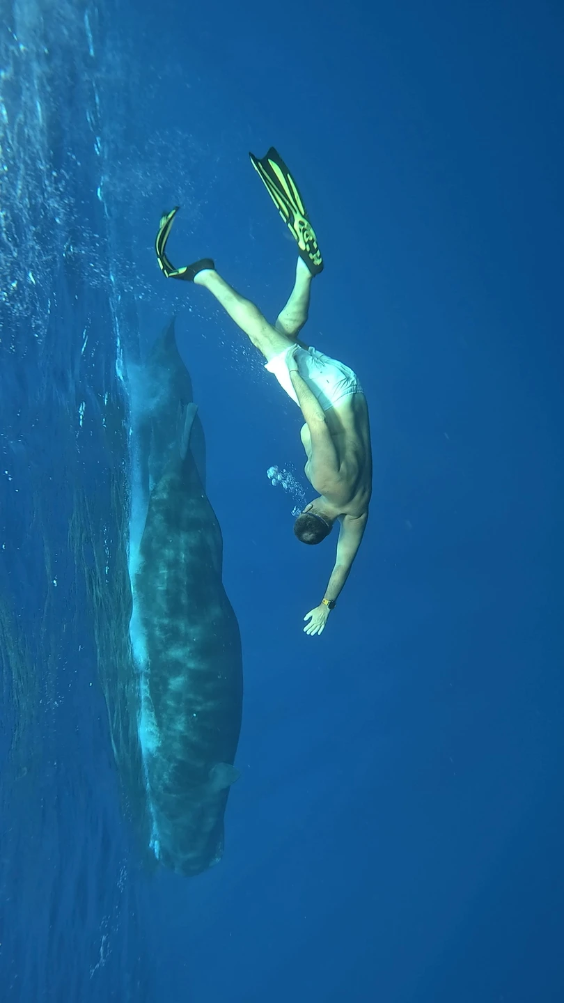 Заказывали индивидуальный тур на катере к китам. Все прошло замечательно! На рассвете собрались на берегу, затем